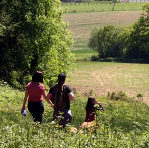 Sussex